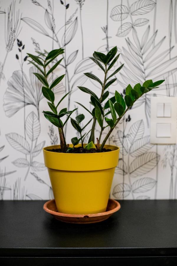 Apartament Studio Cocooning In Strasbourg & Help An Ecoproject ! Zewnętrze zdjęcie